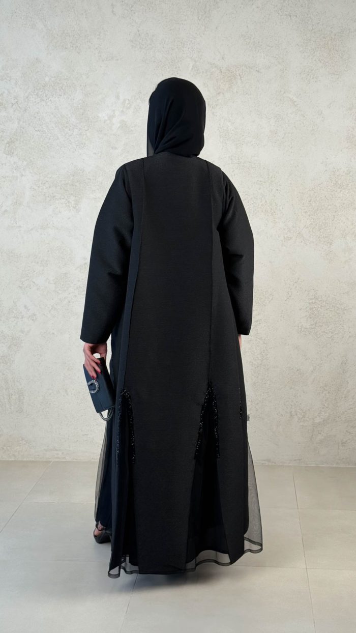 ⁦1041⁩ - الصورة ⁦16⁩