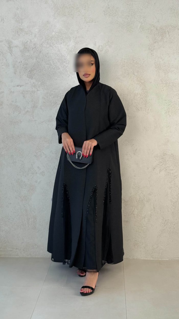 ⁦1041⁩ - الصورة ⁦2⁩